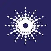 Free play online APAP|NYC APK